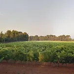 Coquet Au Lavandou Avec Parking Proche - Fr-1-251-299 Διαμέρισμα