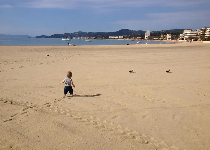 Appartement Studio Coquet Au Lavandou Avec Parking Proche Plage - Fr-1-251-299 *