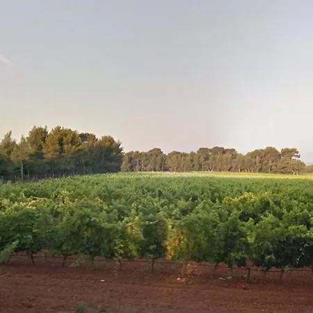 Coquet 4 Couchages Au Lavandou - Proche Plage, Parking Inclus, Commerces A Proximite - Fr-1-251-299 شقة