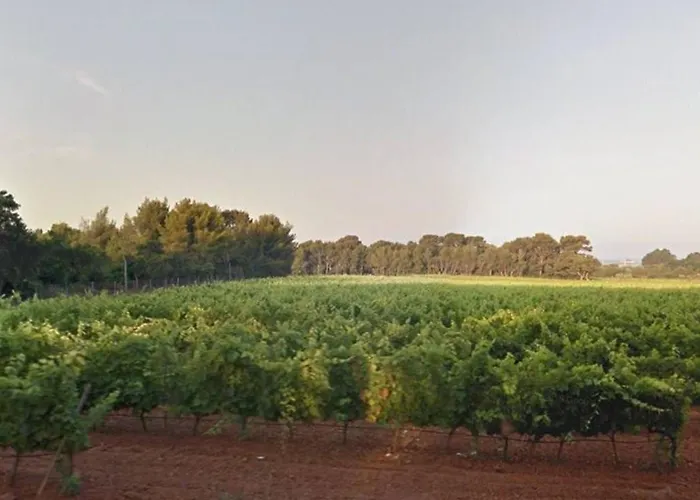 Coquet 4 Couchages Au Lavandou - Proche Plage, Parking Inclus, Commerces A Proximite - Fr-1-251-299 شقة